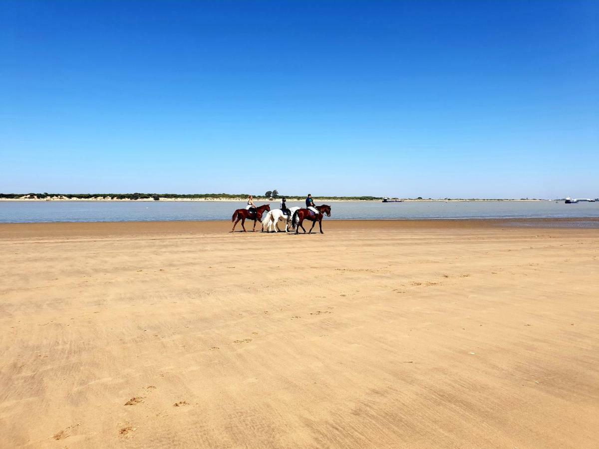 Residencial Costa Donana Leilighet Sanlúcar de Barrameda Eksteriør bilde