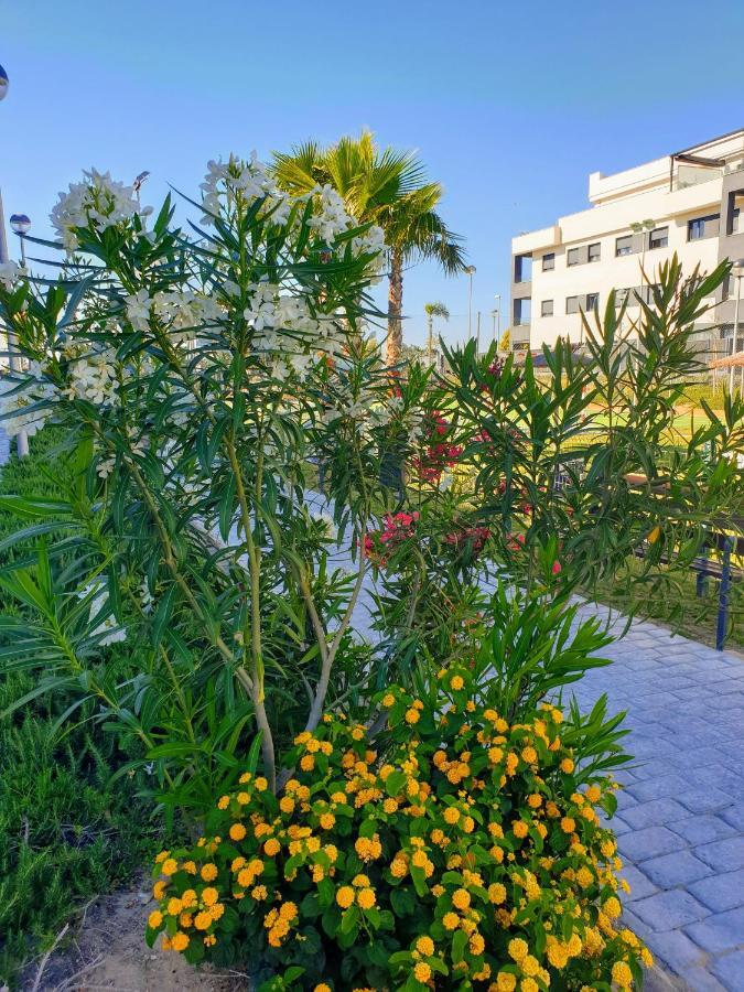 Residencial Costa Donana Leilighet Sanlúcar de Barrameda Eksteriør bilde